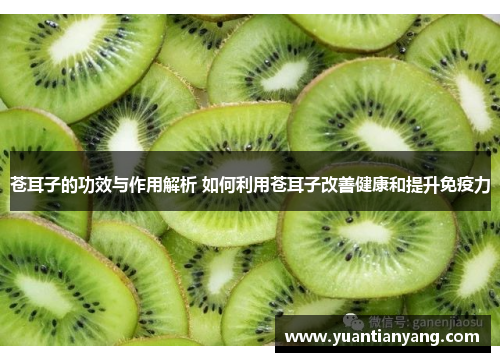 苍耳子的功效与作用解析 如何利用苍耳子改善健康和提升免疫力