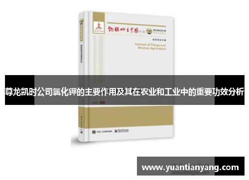 尊龙凯时公司氯化钾的主要作用及其在农业和工业中的重要功效分析