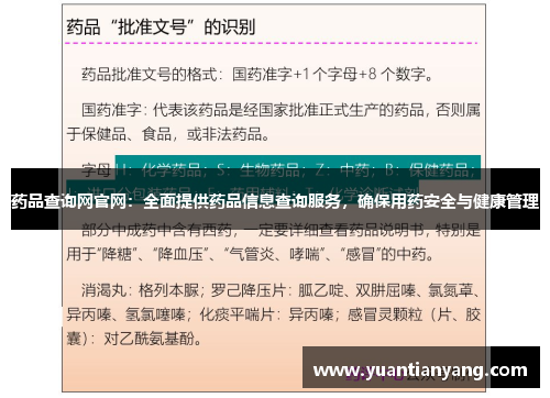 药品查询网官网：全面提供药品信息查询服务，确保用药安全与健康管理
