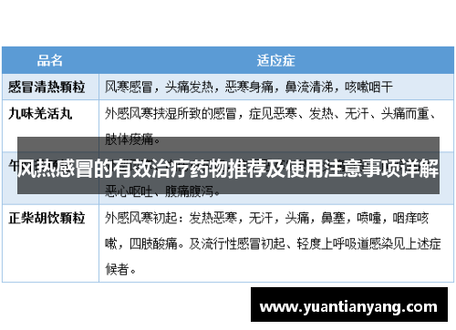 风热感冒的有效治疗药物推荐及使用注意事项详解